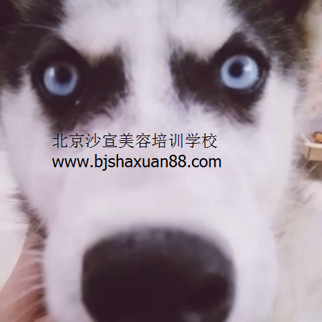 美容学校,北京美容学校