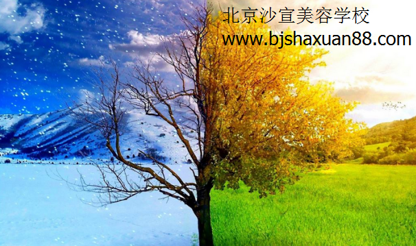 美容美发20年专业培训