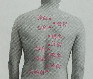 美容培训学校教你如何治疗消瘦症