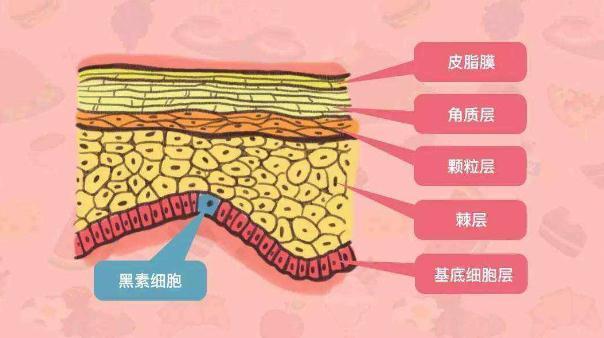 美甲培训学校